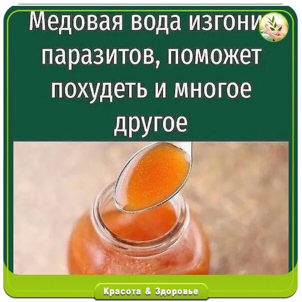 Мед и вода рецепт. Мед развести в воде. Раствор меда в воде. Медовая вода от паразитов. Медовая вода польза.