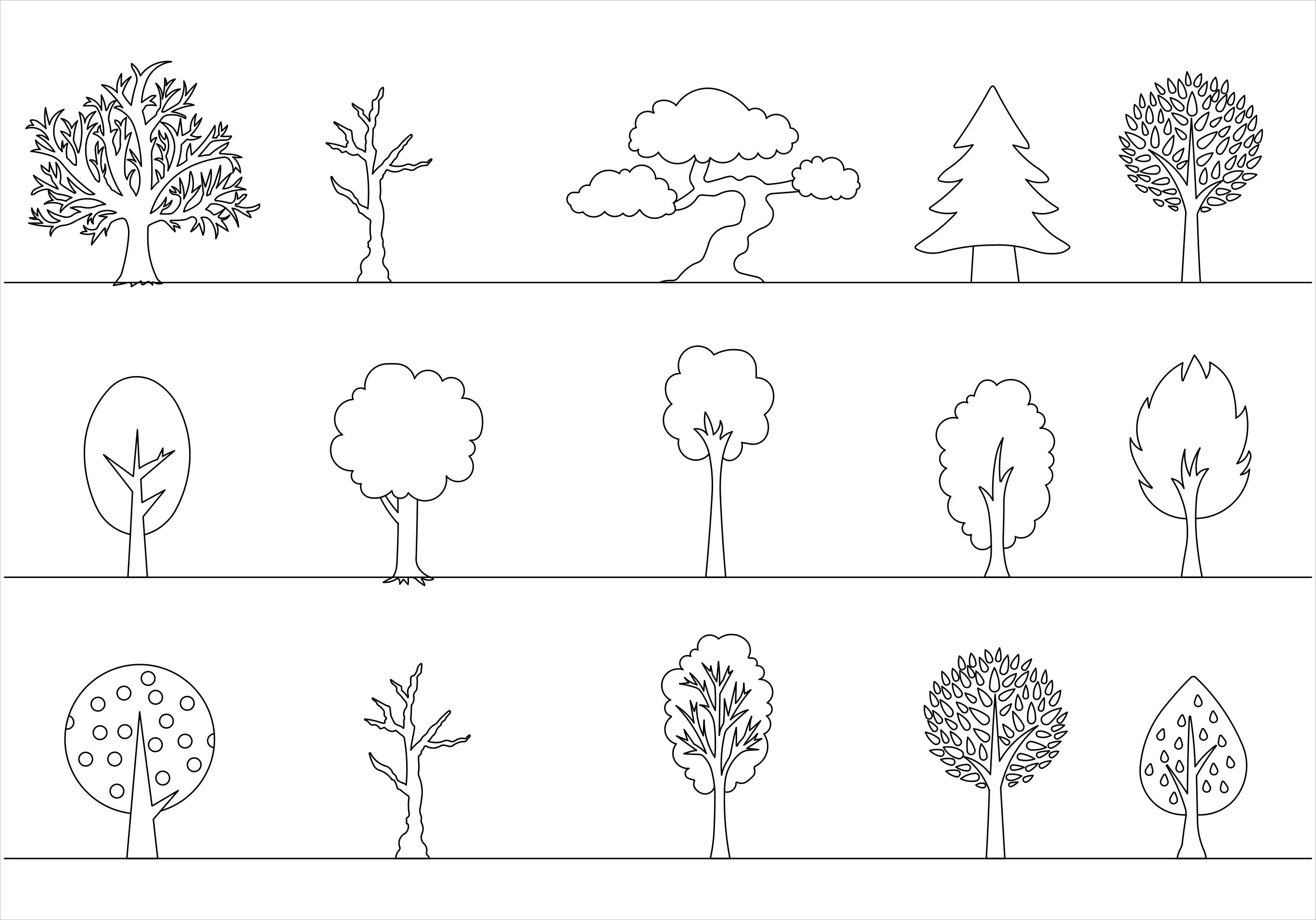Дерево чертеж. Дерево чертеж сбоку. Деревья антураж сбоку. Дерево для рисования. Схематическое изображение дерева.