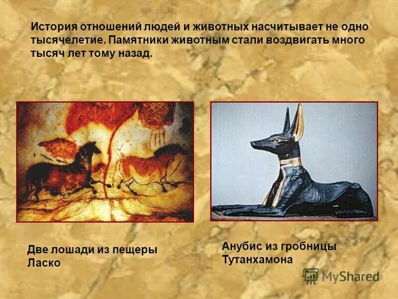 Биологические представления в древности. Рассказ об отношении людей и животных. Какое отношение к животным. Взаимосвязь животные и человек. Рассказ собака друг человека.