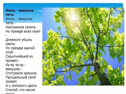Про лето июль