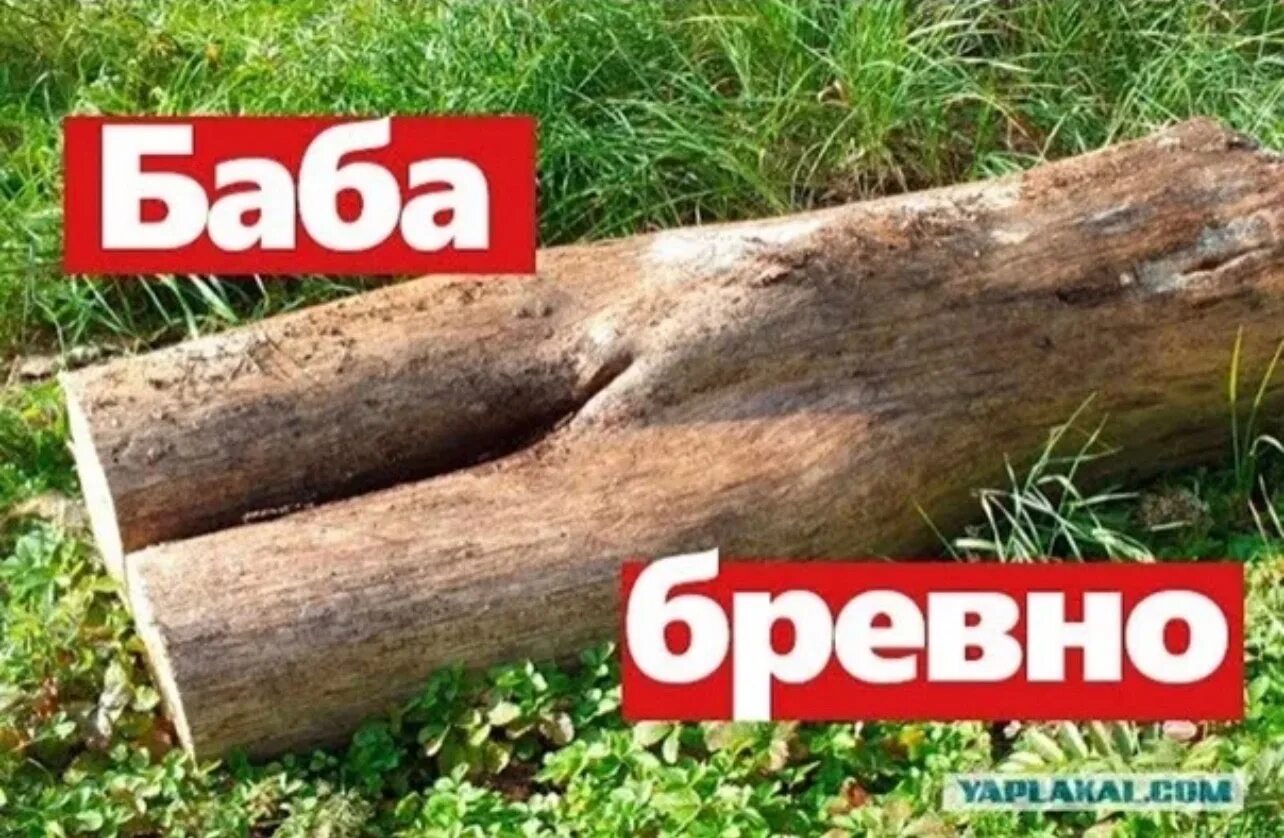 Женщина бревно