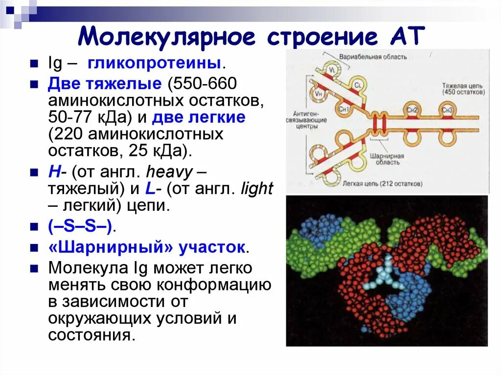 Молекулярноное строение. Молекеклярное строение. Вещества которые имеют молекулярное строение. Молекулярный Тип строения.
