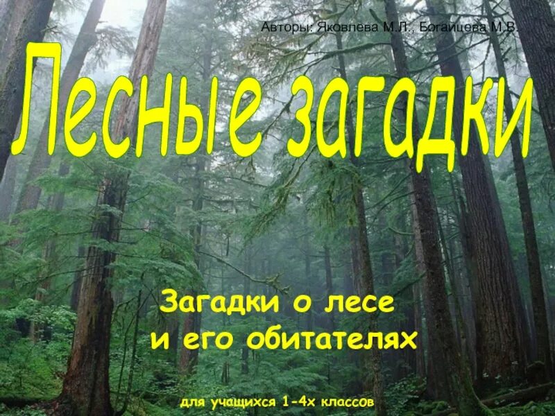 Самый большой текст леса. Загадки про лес. Засадка леса. Загадки про лес 3 класс. Загадки на тему леса.