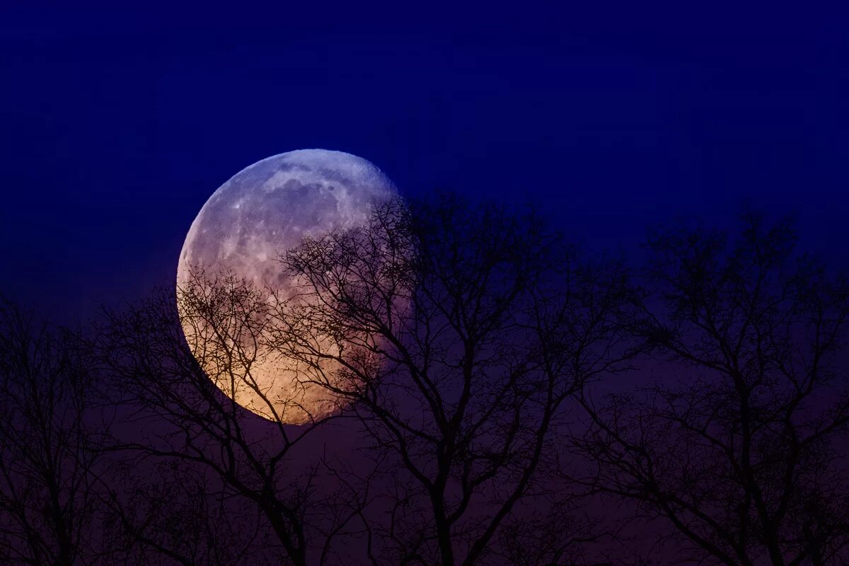 Луна. Красивая Луна. Огромная Луна. Лу.