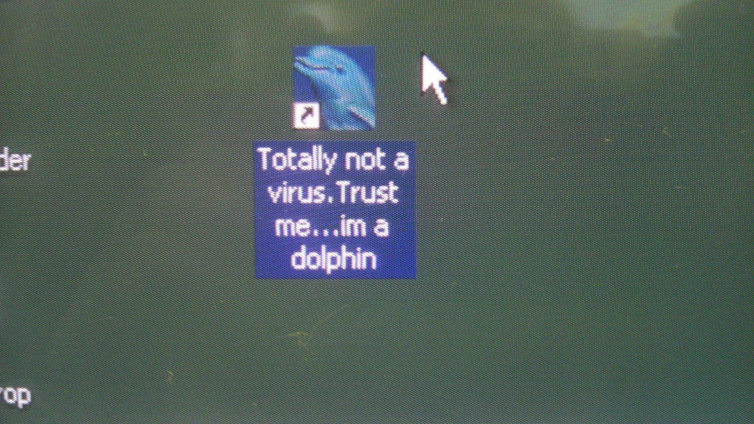 Файл not a virus. Totally not a virus Trust me i'm a Dolphin. Вирус Дельфин. Trust me i'm a Dolphin. Верь мне я Дельфин.