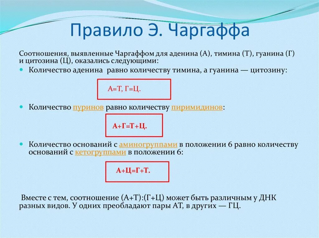 При расшифровке генома орангутана было установлено что. Правило Чаргаффа. Правило Чаргаффа для ДНК. Правило Чаргаффа формулировка. Правило комплементарности правило Чаргаффа.