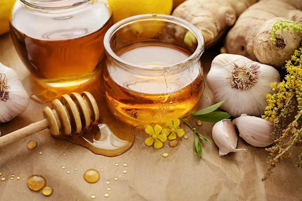 Чеснок с медом. Мед в народной медицине. Мед чеснок и яблочный уксус. Чеснок настоянный на меду. Мед с чесноком польза