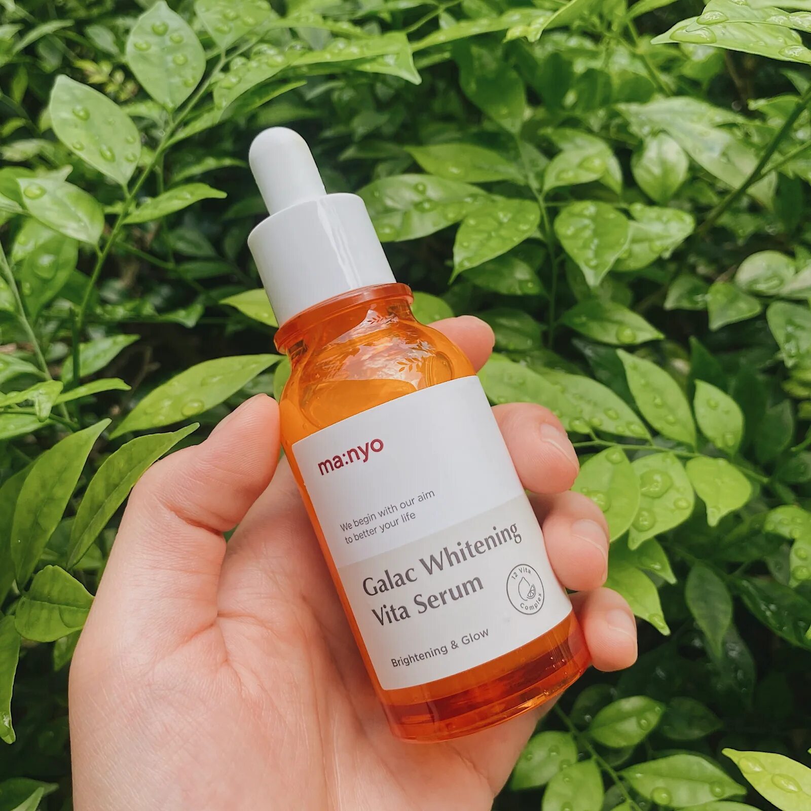 Мультивитаминная сыворотка для тусклой кожи manyo galac whitening vita serum. Manyo factory galac whitening vita serum (50ml). Ma:nyo galac whitening vita serum. Ma nyo vita serum. Ma nyo vita serum.