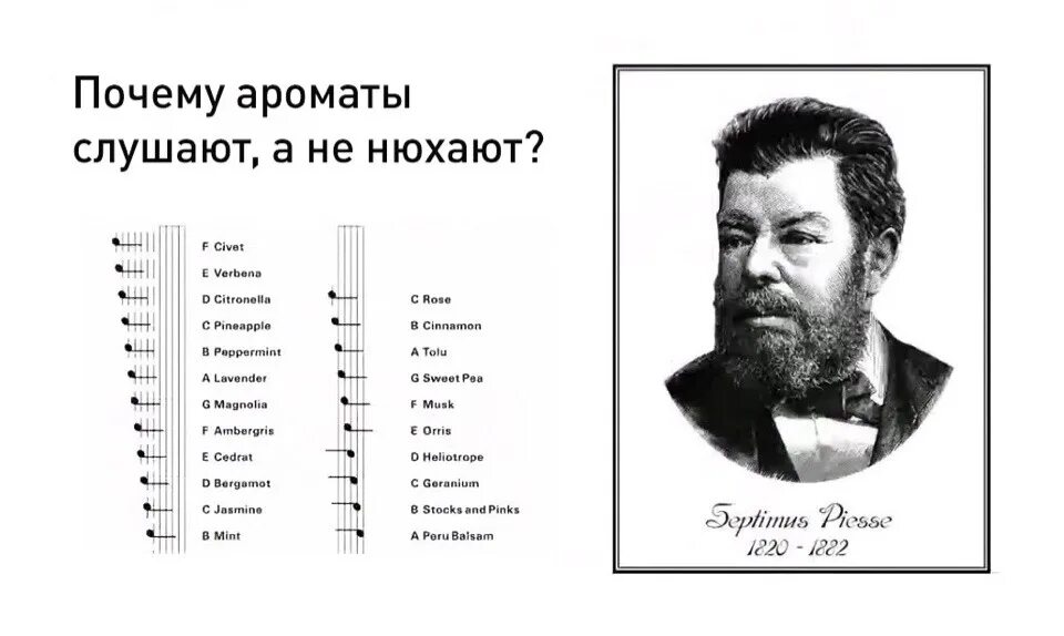 Запах слышат или чувствуют как правильно говорить. Джордж Уильям Септимус Пиесс. Почему ароматы СЛУШАЮТ А не нюхают. Искусство парфюмерии Септимус пьесс. Почему запахи СЛУШАЮТ.