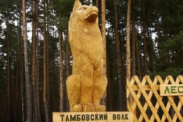 Памятник тамбовскому волку. Тамбовский волк Тамбов. Тамбовский волк скульптура в Тамбове. Отель Тамбовский волк Тамбов.