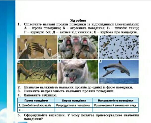 Решу ру биология 6 класс