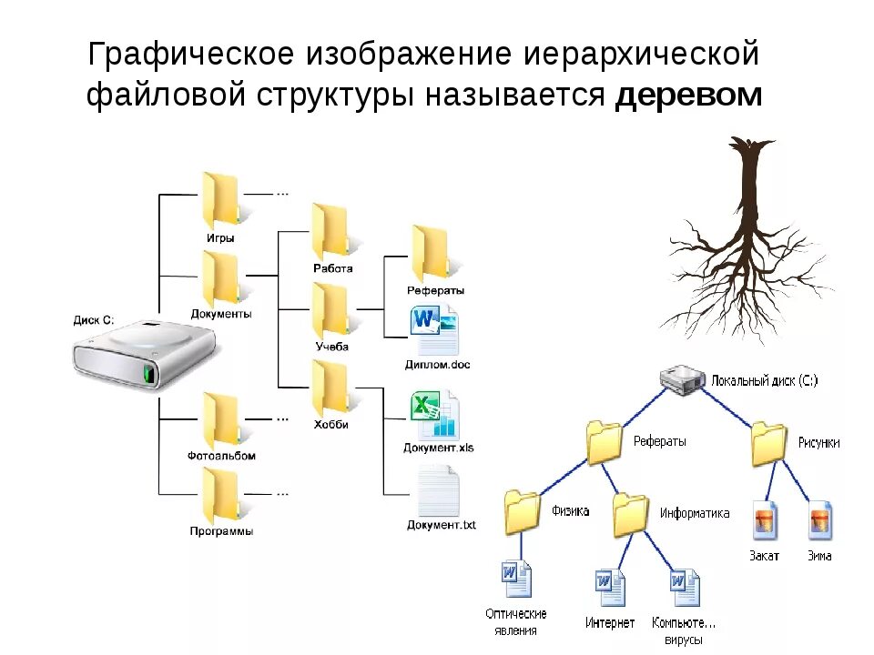 Структура файловой системы схема. Иерархическая файловая структура схема. Иерархическая файловая система компьютера. Древо файловой системы.