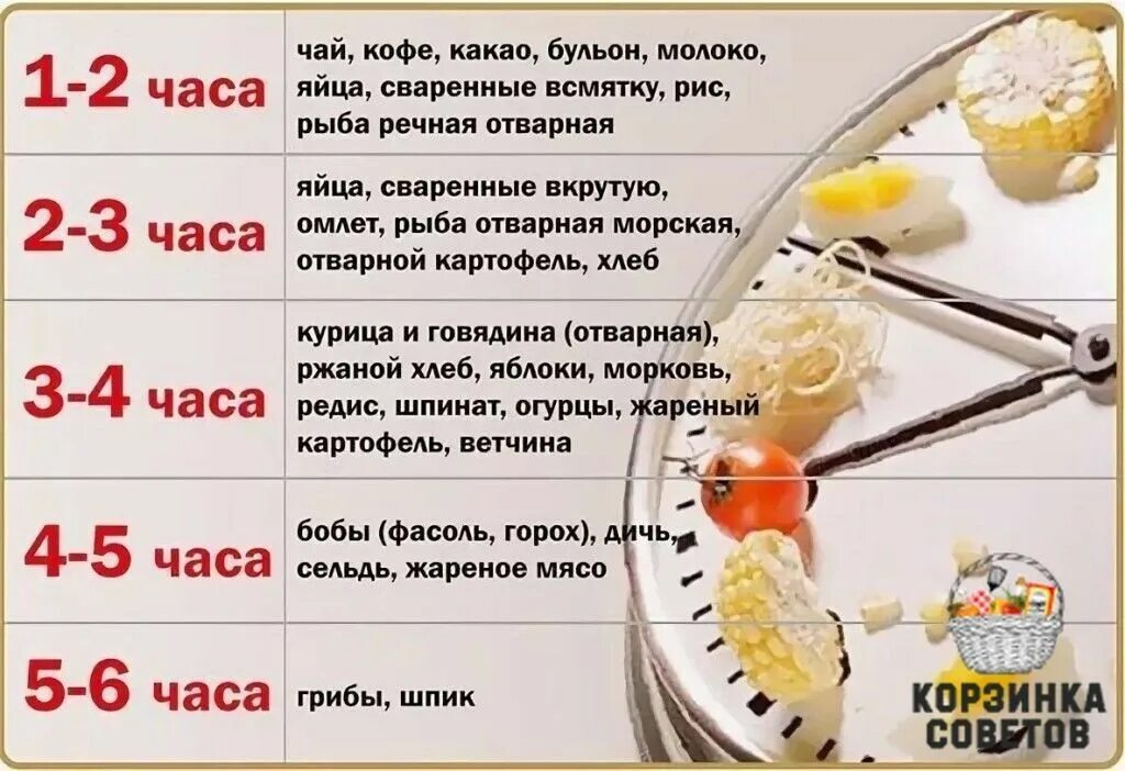 Утром вес меньше. Таблица переваривания пищи в желудке человека. Сколько переваривается пища. Сколько времени переваривается пища. Время переваривания пищи в желудке человека.