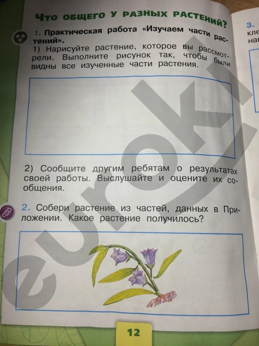 Стр 010. Окружающий мир 1 класс рабочая тетрадь стр 10 задание 2. Окружающий мир 1 класс рабочая тетрадь 1 часть Плешаков ответы стр 10. Окружающий мир 1 класс рабочая тетрадь 1 часть стр 11. Гдз по окружающему миру 2 класс рабочая тетрадь Плешаков 1 часть стр 12.