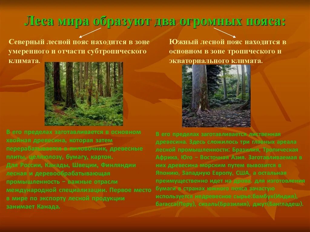 Различие леса. Лесная и деревообрабатывающая Лесной пояс. Два лесных пояса планеты.