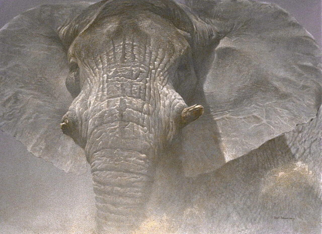 Cow elephant. Robert Bateman — канадский художник-анималист..