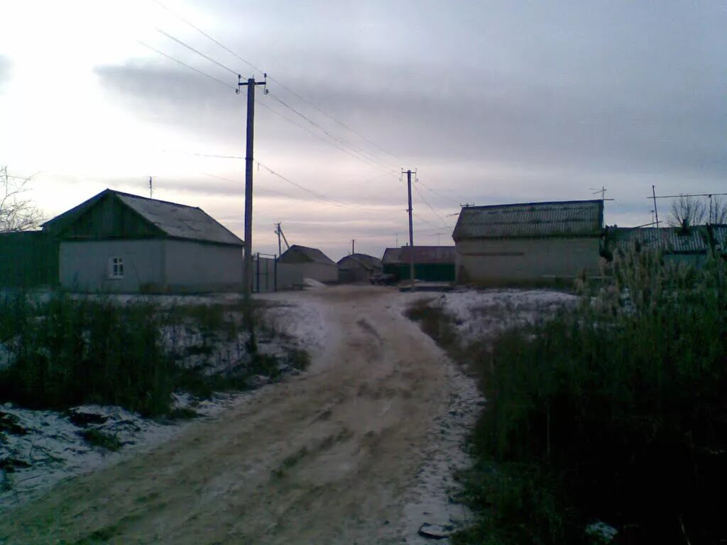 Новоузенск улицы. Поселок Радищево Новоузенский район. П Радищево Новоузенск. П Радищево Новоузенский район Саратовской области. Поселок Алгайский Новоузенский район.