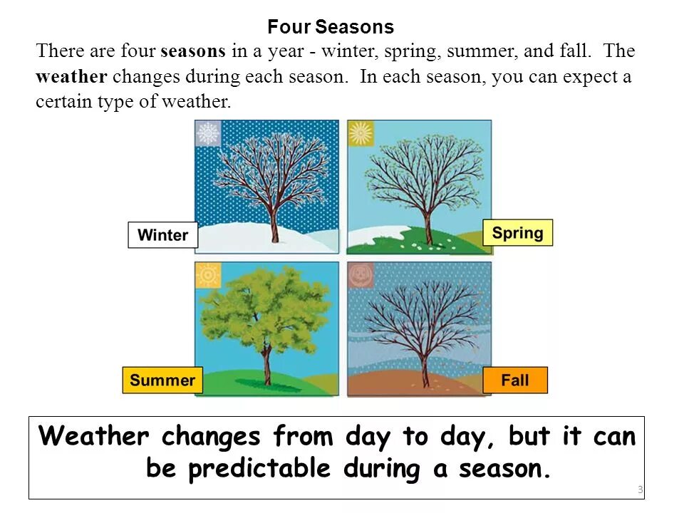 There are four seasons. Seasons презентация. Тема Seasons and weather. Seasons and weather задания.