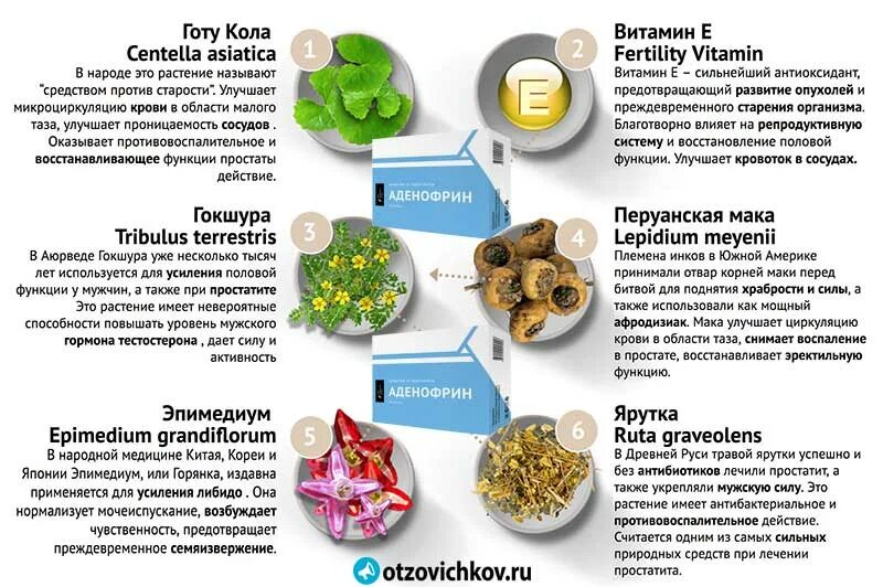 Витамины повышающие либидо. Травы для повышения либидо. Травы для повышения либидо у женщин. Травы повышающие либидо у женщин. Травы для повышения либидо у мужчин.