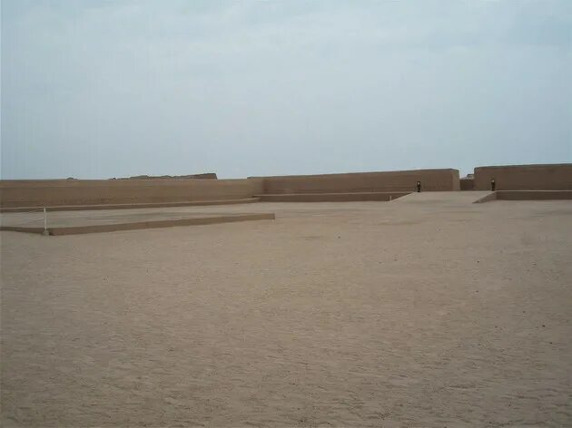 Чан чан субтитры. Чан чан субтитры. Кошки породой чан чан. Чан чан битис. Чан чан субтитры.