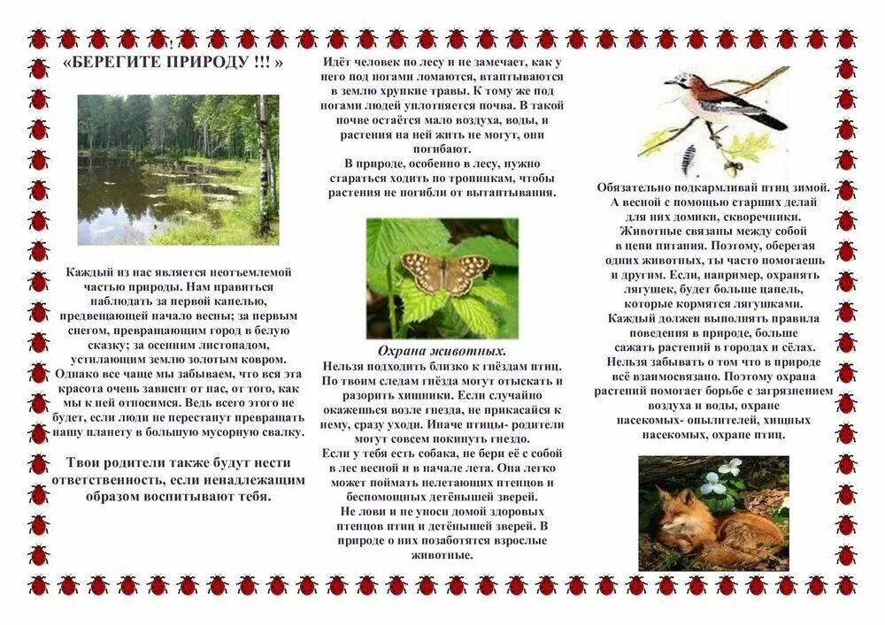 Охрана природы красная книга старшая группа. Красная книга российс. Охрана природы красная книга. Красная книга обложка для проекта. Охрана природы красная книга старшая группа.