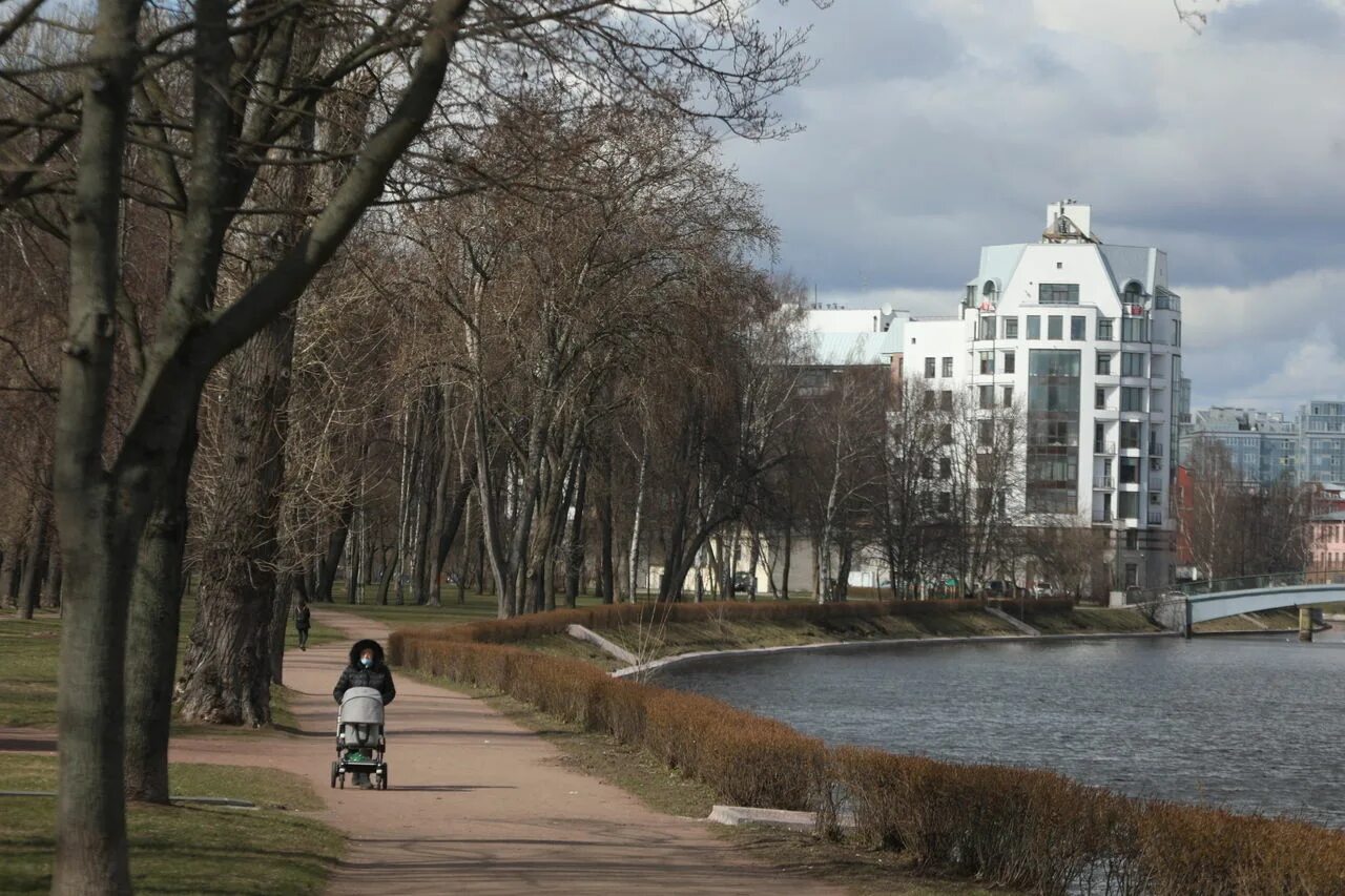 Петровский парк Санкт-Петербург. Петровский парк парк. Район Петровский парк Москва. Парк в Петроградском районе. Петровский парк сайт парка