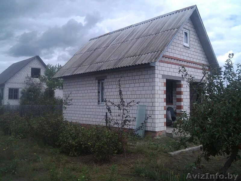 Светлогорск дачи. Дачи в светлогорском районе. Светлогорск гомельская область деревня стужки. Светлогорск гомельская область деревня стужки. Дачи в светлогорском районе.