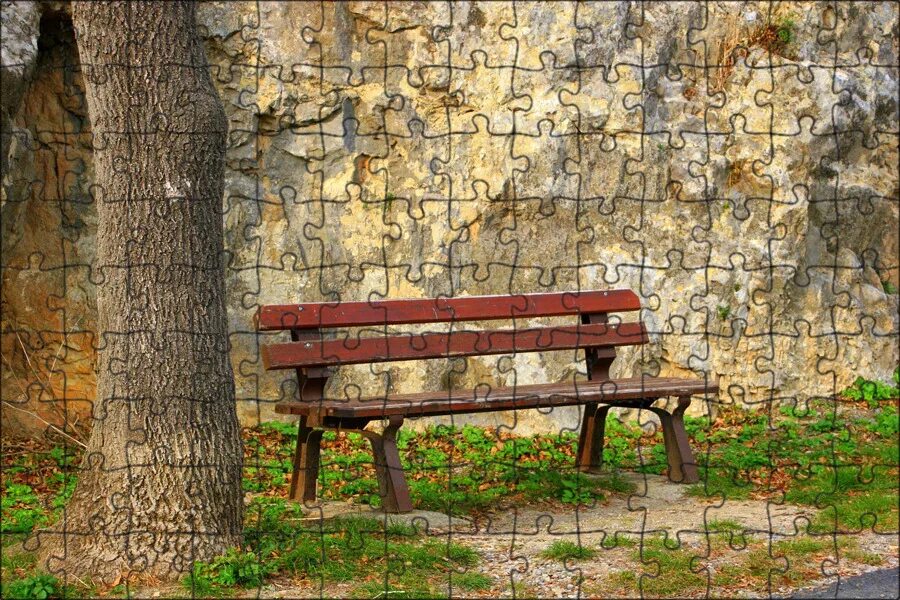 Скамейка в саду. Скамейки в парках. Скамейка. Bench [бенч] — скамейка. Скамья в саду.