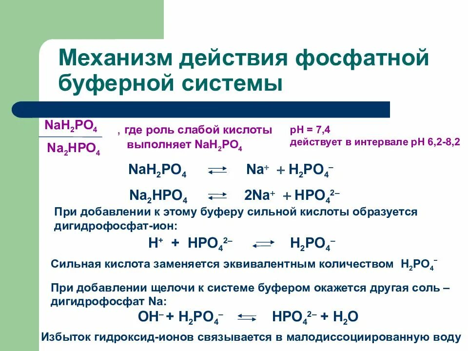 Механизм работы буферного раствора. Механизм действия буферных систем и растворов. Механизм действия буферных растворов. Буферные растворы принцип действия. Диссоциация раствора гидроксида натрия