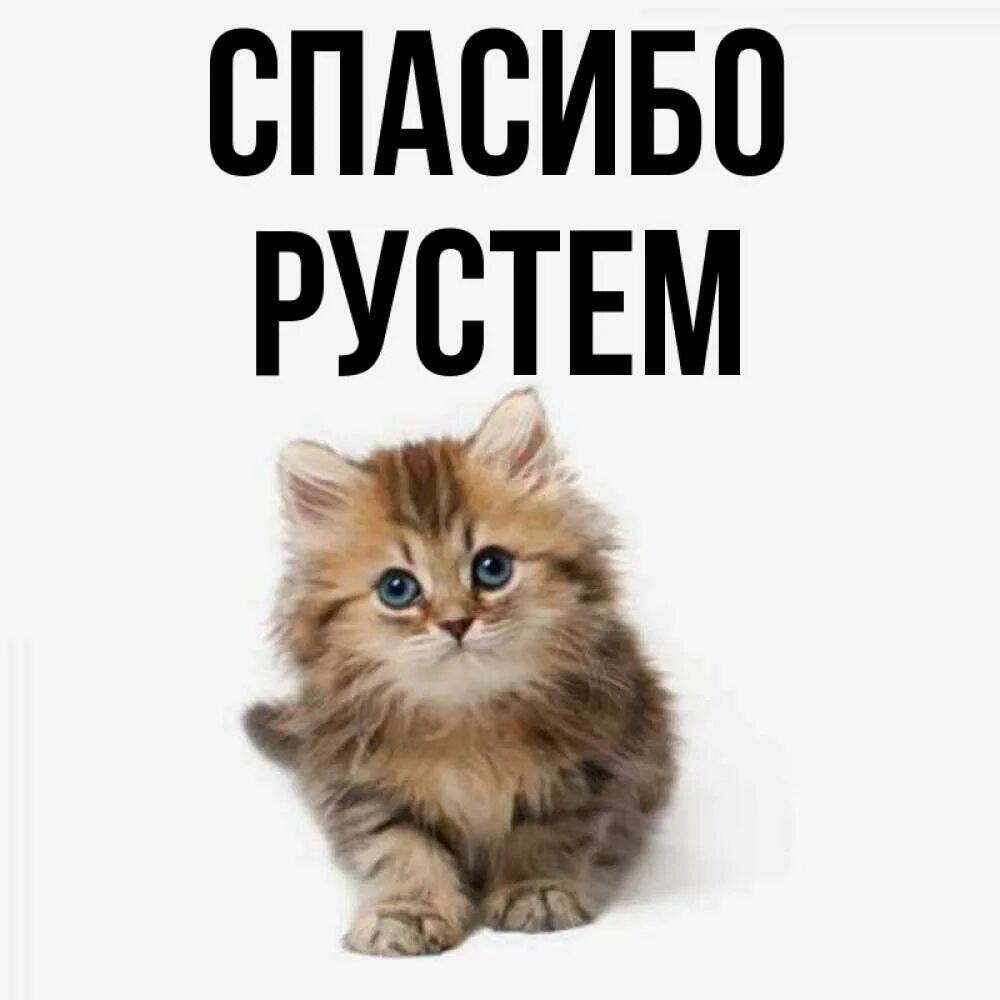 Рустем имя национальность. Рустам обозначение имени. Спасибо рустам. Рустам имя. Красивая надпись рустам.