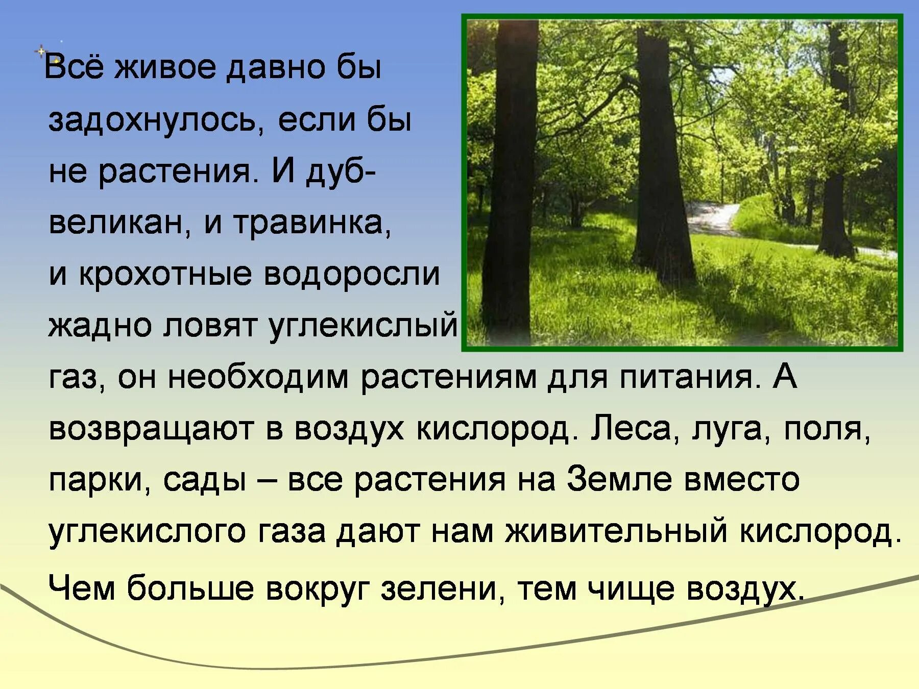 Сообщение про воздух 2 класс окружающий мир. Доклад про воздух. Про воздух 2 класс окружающий мир. Презентация на тему воздух. Почему там воздух