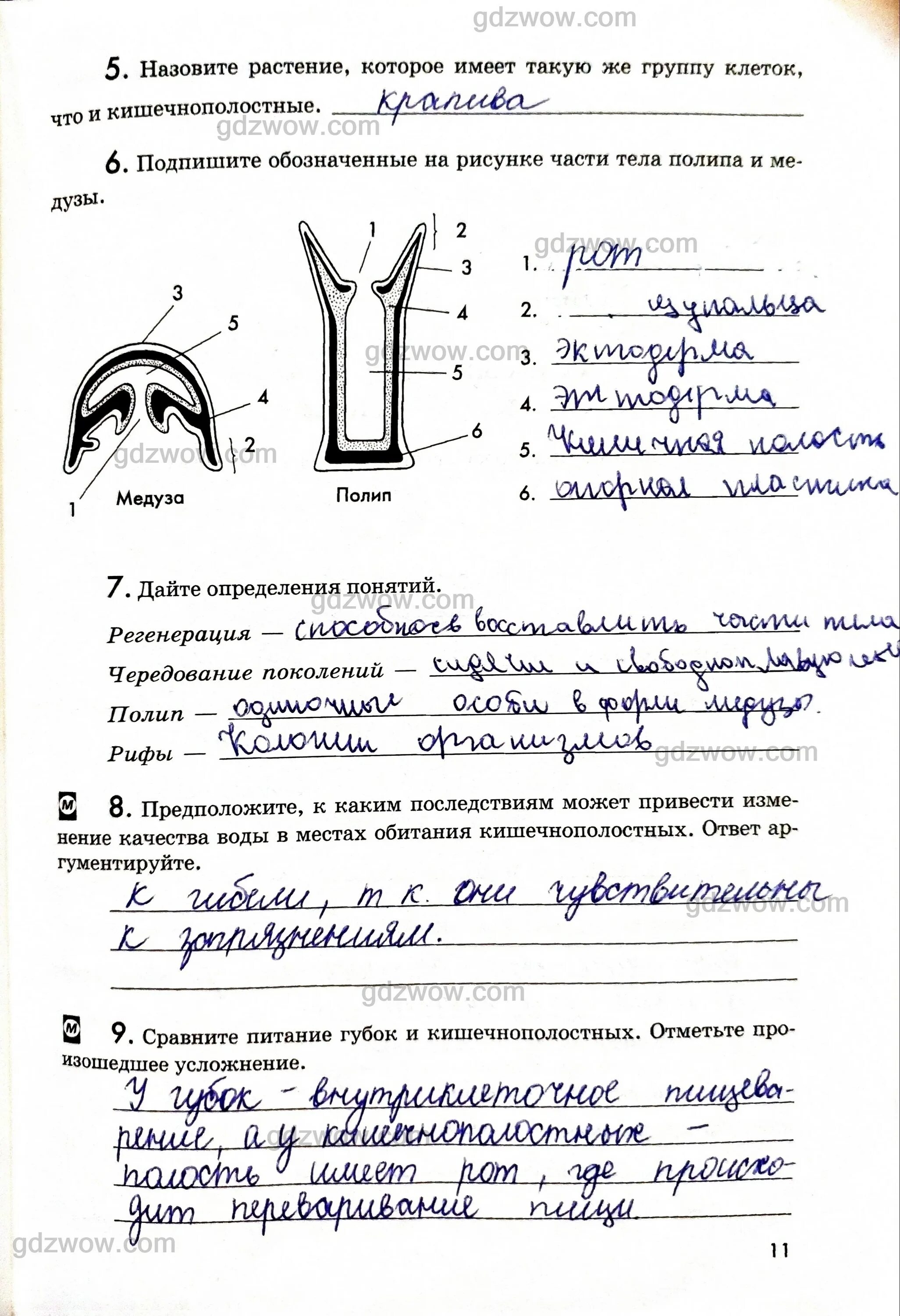 Биология 7 класс учебник латюшин. Биология 8 латюшин ответы. Биология 8 латюшин ответы. Латюшин, е. Биология 8 класс учебник латюшин.