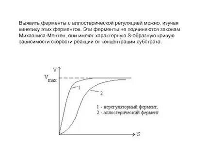 Зависимость активности ферментов от концентрации субстрата