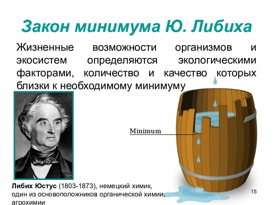 Как называется закон экологии который он иллюстрирует. Ю Либих закон минимума. Закон минимума ю.Либиха (1873):. Закон минимума Либиха формула. Закон Юстуса Либиха.