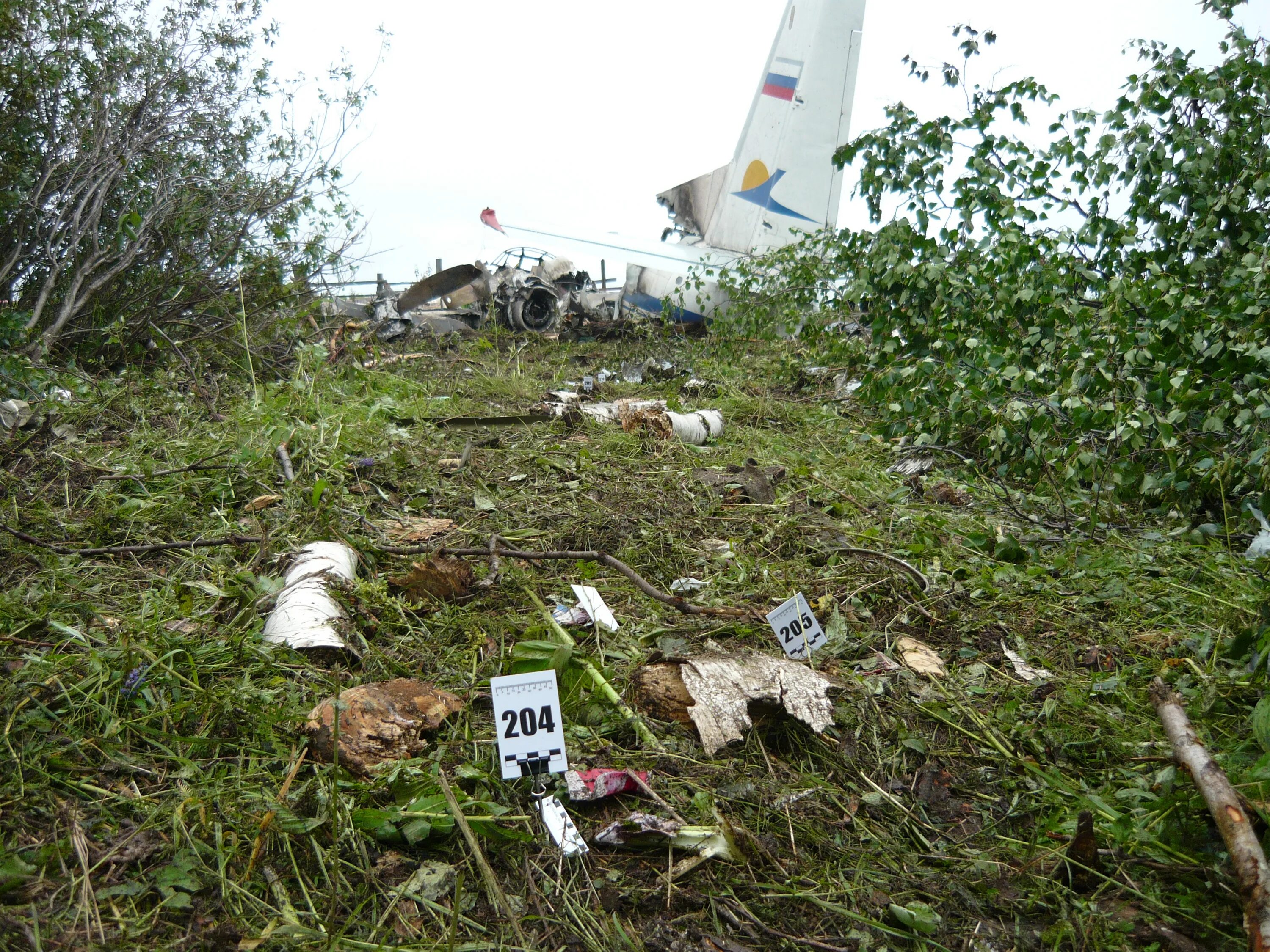 Катастрофа a310 под междуреченском. Катастрофа а-310 междуреченск. Катастрофа a310 под междуреченском. Катастрофа airbus а310 под междуреченском. Катастрофа a310 под междуреченском.