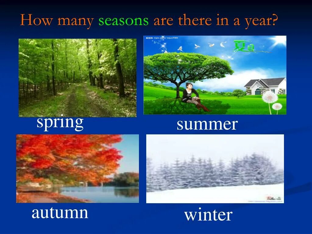 There are months in a year. How many Seasons. How many Seasons are there in a year. Seasons and weather there are four Seasons in a year.