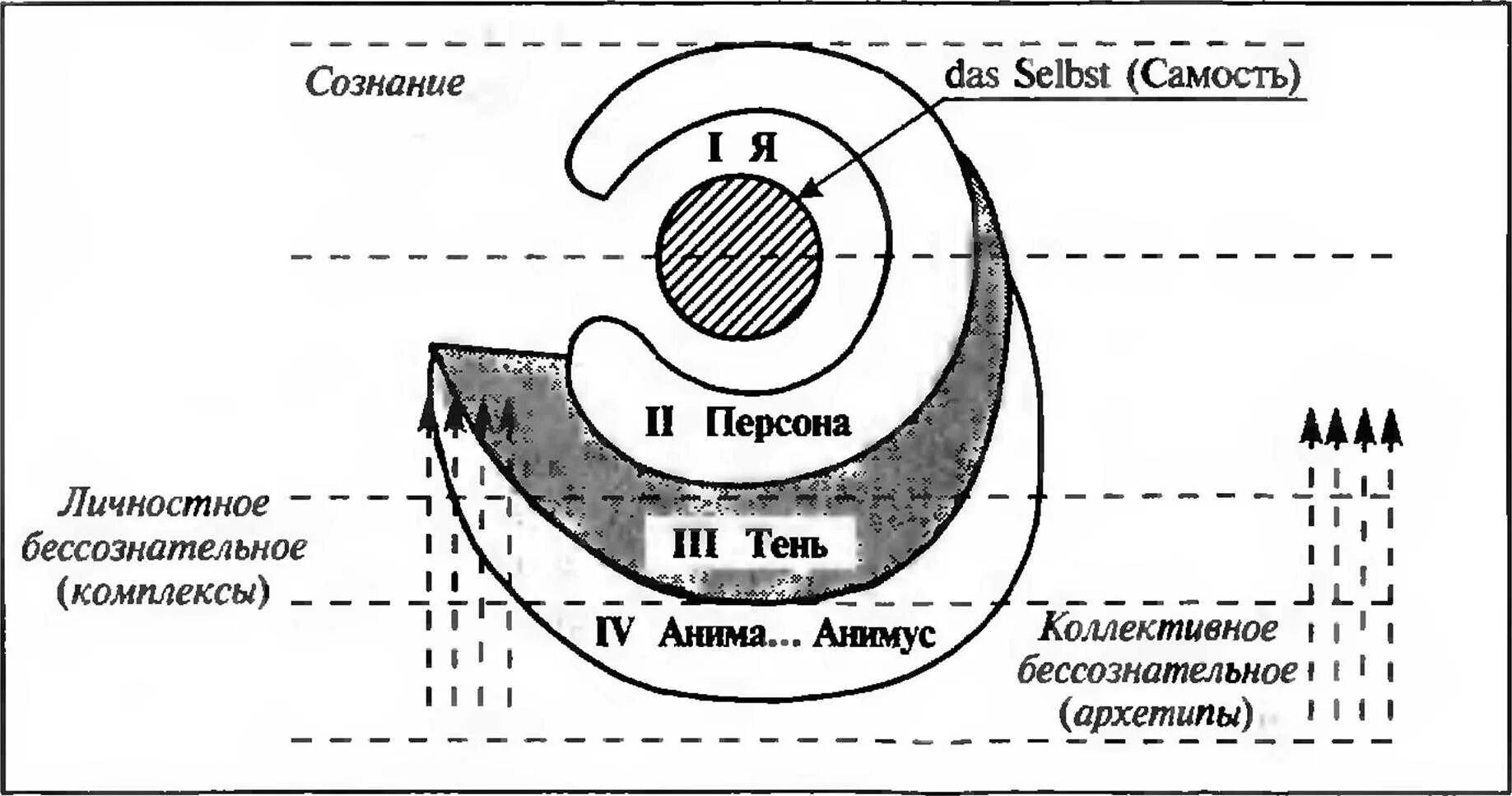 По мнению юнга. Юнг бессознательное схема. Юнг схема бессознательное Самость. Структура личности Юнг схема. Структура личности Юнг Самость.