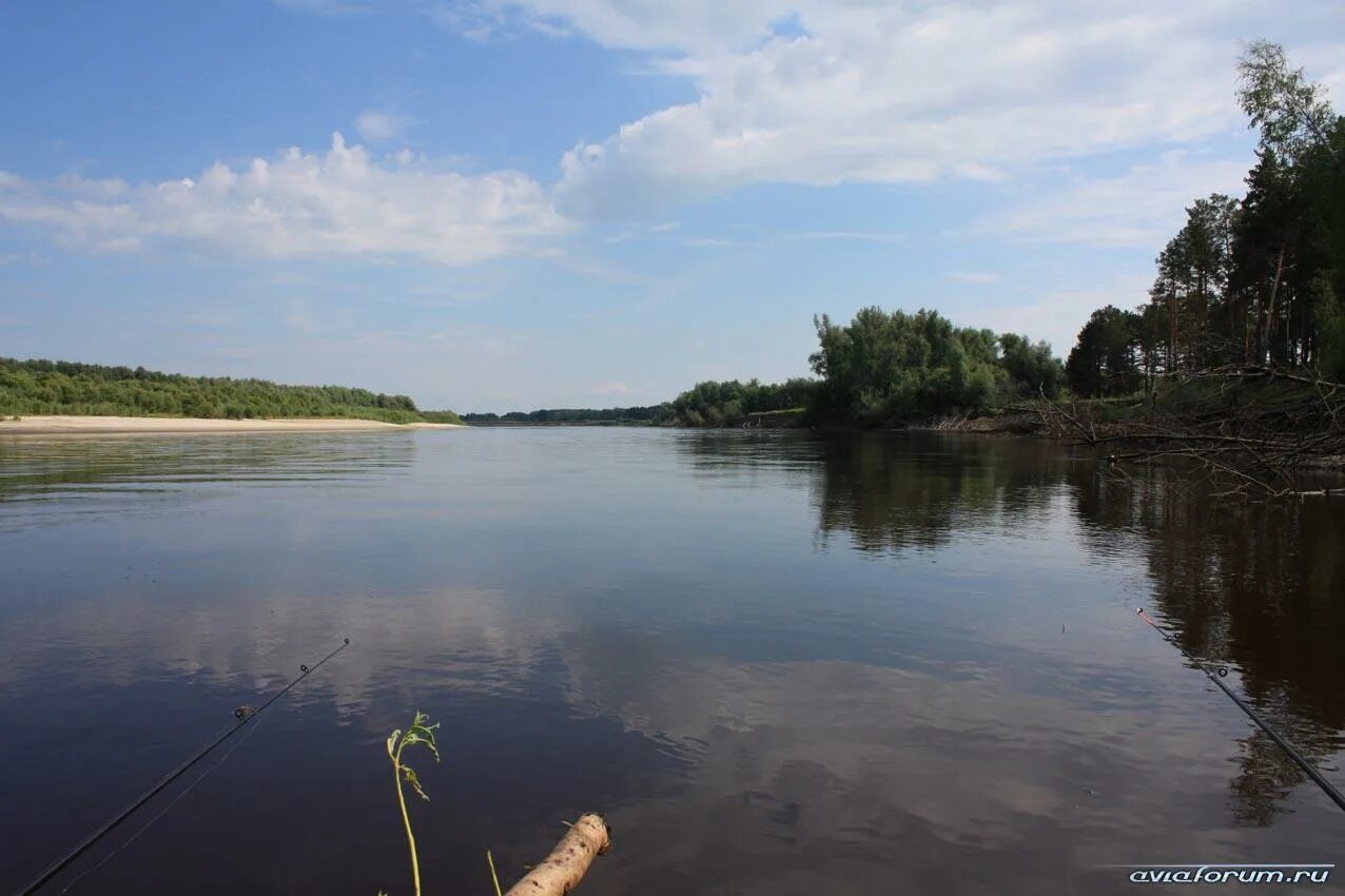 Уровень воды в реке тавда таборы. Река Тавда Свердловская область. Озеро Халтурино Тавда. Река Тавда таборы. Нижняя Тавда река.