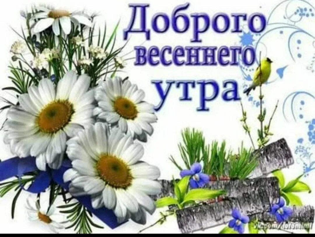 Доброго утра весеннего настроения картинки с надписями. Открытки с добрым утром весенние. доброе весеннее утро. пожелания с добрым весенним утром. доброго весеннего утоп.