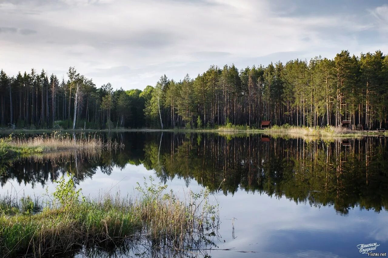 Все о тюменской области. Сибирь Тюмень природа. Тюменская область природа Тюмень природа. Озеро Лесное Тюмень. Природа Тюменского района.