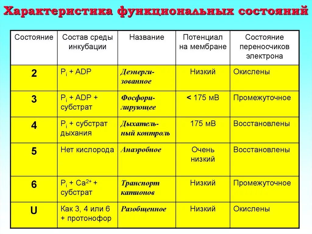 Функциональные состояния примеры. Характеристика функциональных состояний. Виды функциональных состояний человека. Функциональные состояния и их виды. Функциональное состояние в процессе деятельности