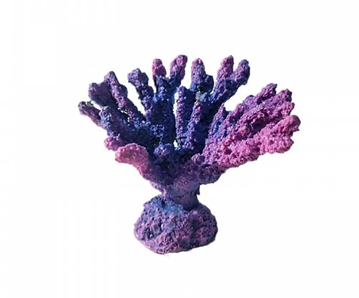 Coral h. Декор Laguna коралл искусственный "Кауластрея". Акабария коралл. Декорации для аквариума. Декор для аквариума космос.