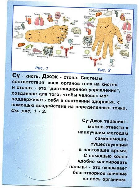 Су джок академия сайт. Массажный шарик Су-Джок точки. Су Джок терапия упражнения. Су Джок шарики упражнения. Массажный шарик "Су Джок".