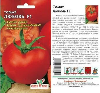 Томат моя любовь