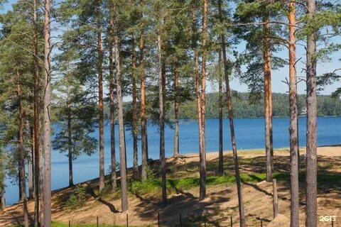 Погода в ильичево выборгского