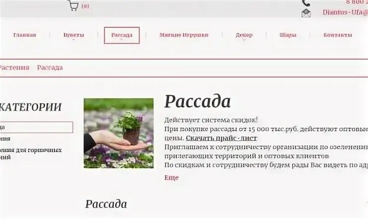Питомник цветы башкирии. Питомник цветы башкирии