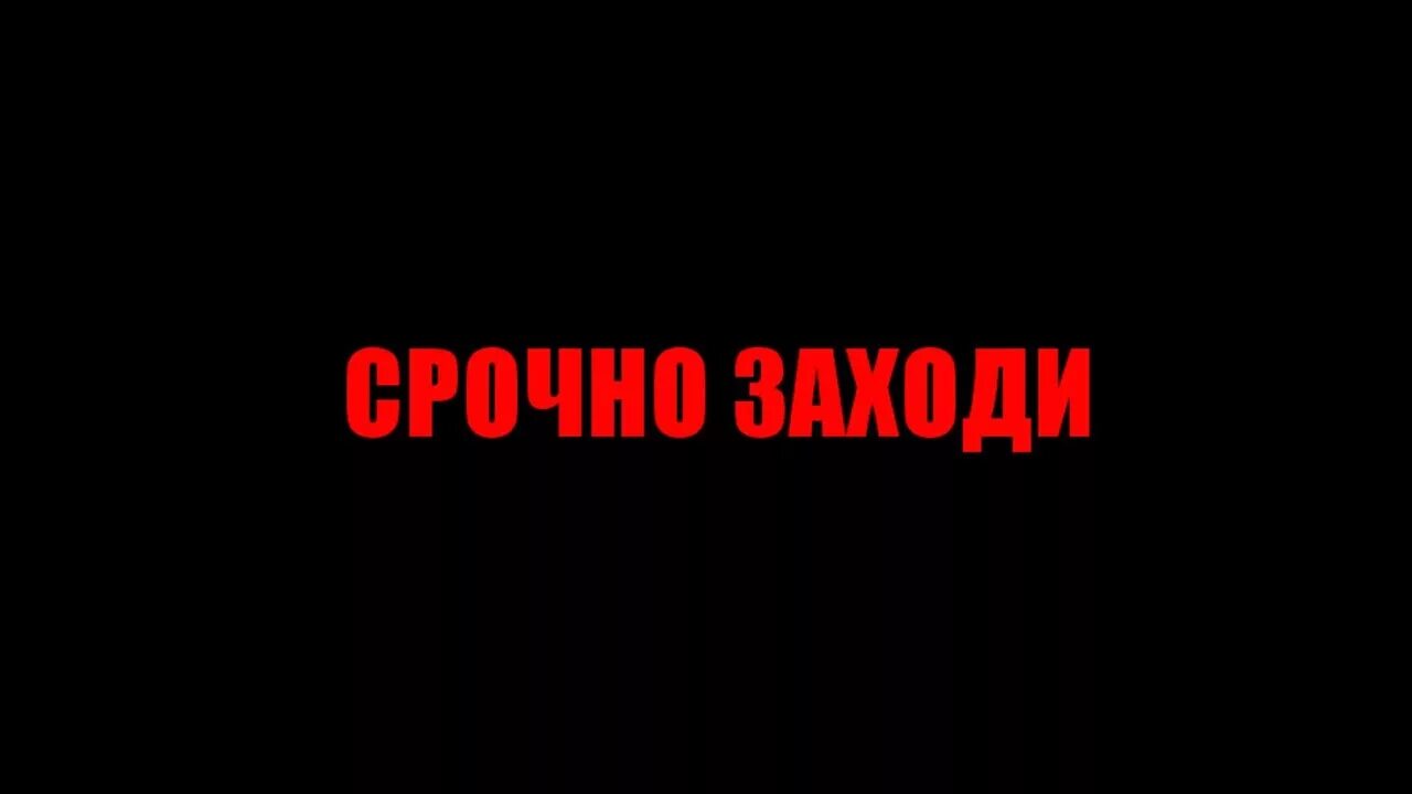 Срочно зайди. Срочно. Заходить срочно по одному. Зайди плиз