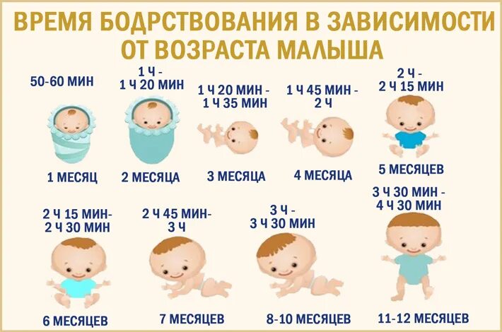 Сколько должны спать новорожденные до 1 месяца. Режим бодрствования ребенка по месяцам. Время бодрствования ребенка по месяцам. Бодрствование грудничка. График дня грудного ребенка по месяцам.