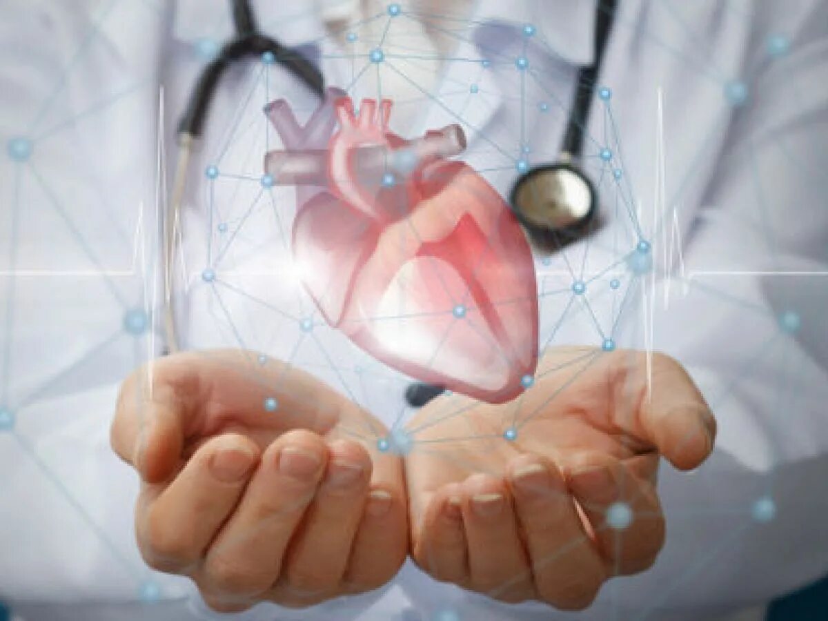 Трансплантация сердца. Трансплантология сердца. Донорство сердца