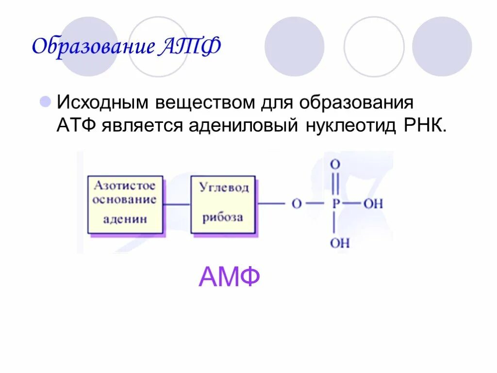 В атф заключено энергии. Схема образования АТФ. Образование молекулы АТФ. Механизм образования АТФ. АТФ образуется.